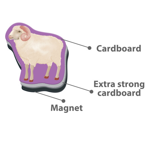 Magnetic set «Farm»