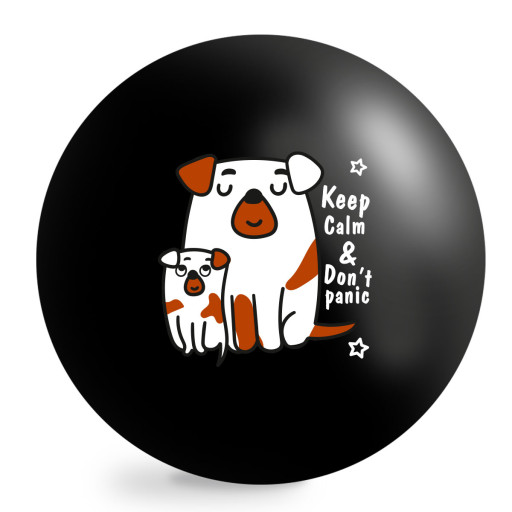 "JumPoPo" balls 23cm JPP12